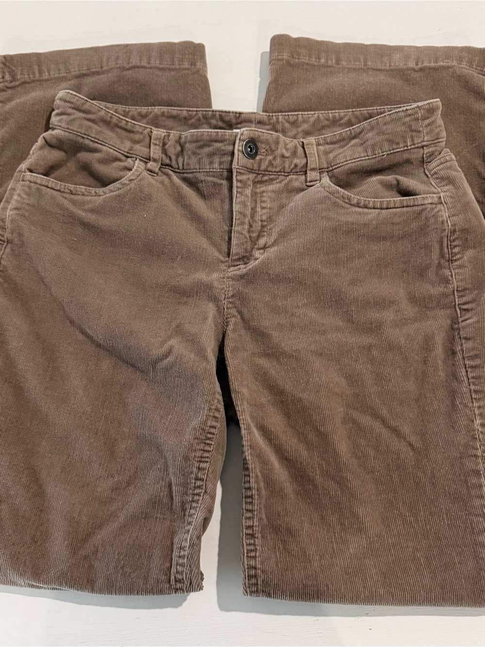 liz & co. Petite Stretch Corduroy Pants in Taupe